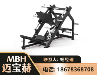 那曲45°倒蹬训练器