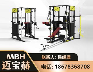 那曲多功能综合训练器