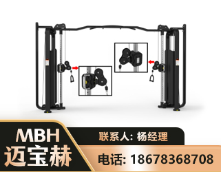 那曲大飞鸟训练器