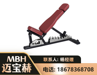 那曲可调哑铃椅