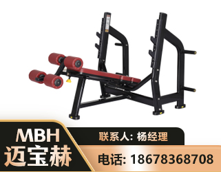 那曲豪华下斜卧推架